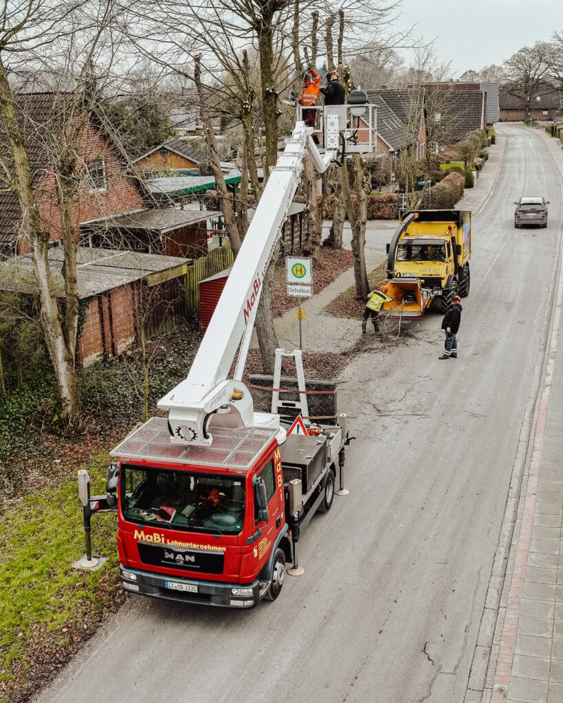 Roter LKW und Personen bei der Baumpflege im Winter