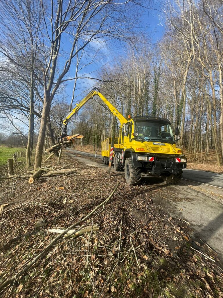 Gelber LKW bei der Baumpflege im Winter